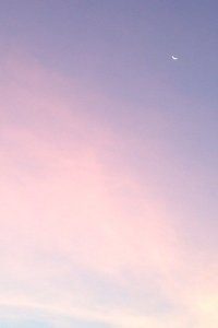 意甲球队名宿回归担任青训总监