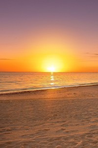 荷兰客场取胜土耳其，提前出线