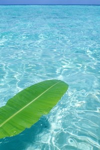 曼联硬战取胜，积分榜上有所上升