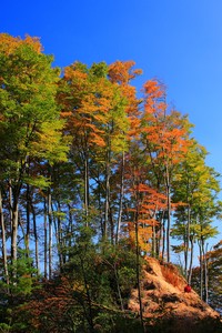 阿奇诺维克青年队势不可挡，令人惊叹！