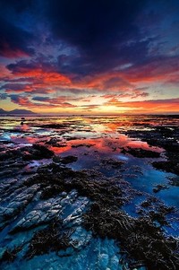 巴萨主场大胜莱万特，继续领跑积分榜