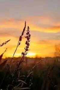 意甲球队名宿回归担任青训总监