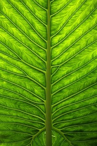 意甲球队名宿回归担任青训总监