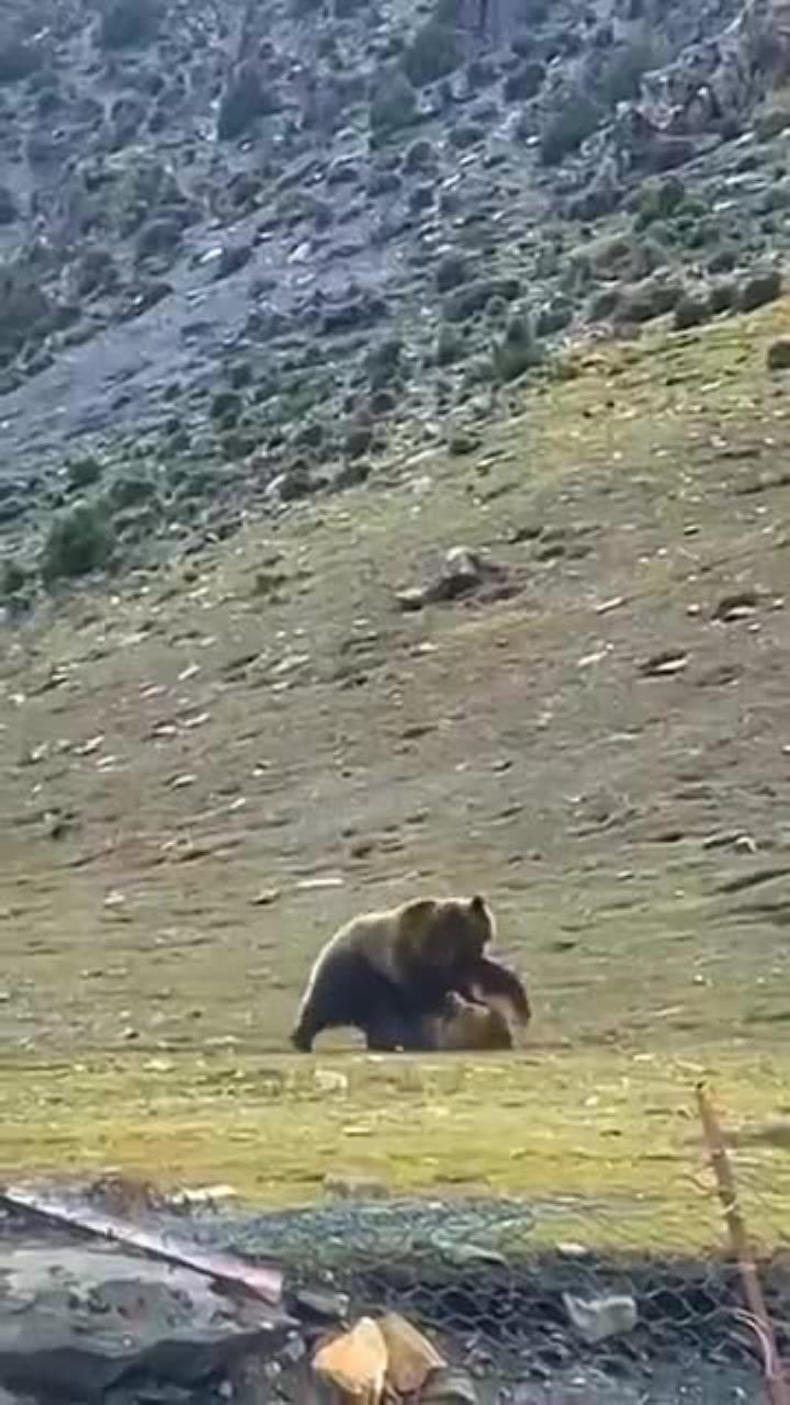 南北对决引人关注，谁能笑到最后